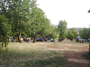 camping_cedre