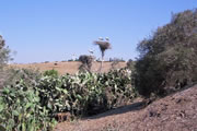 maroc_cigones_2