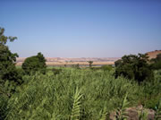 maroc_paysage_1