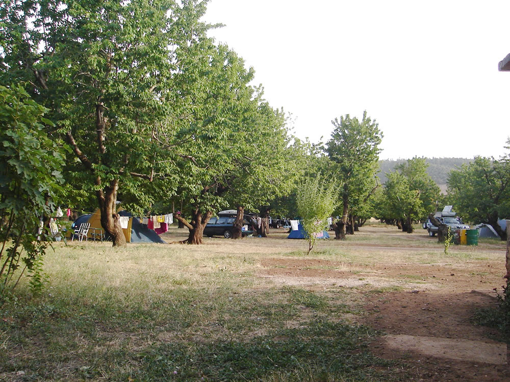 PHOTOS_GF/camping_cedre_accueil.jpg