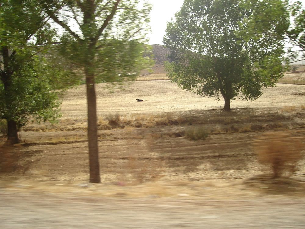 PHOTOS_GF/maroc_paysage_13.jpg